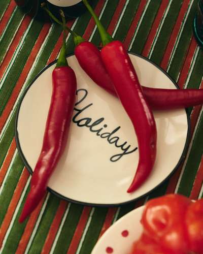 250612_SS26_CAMPAIGN6698