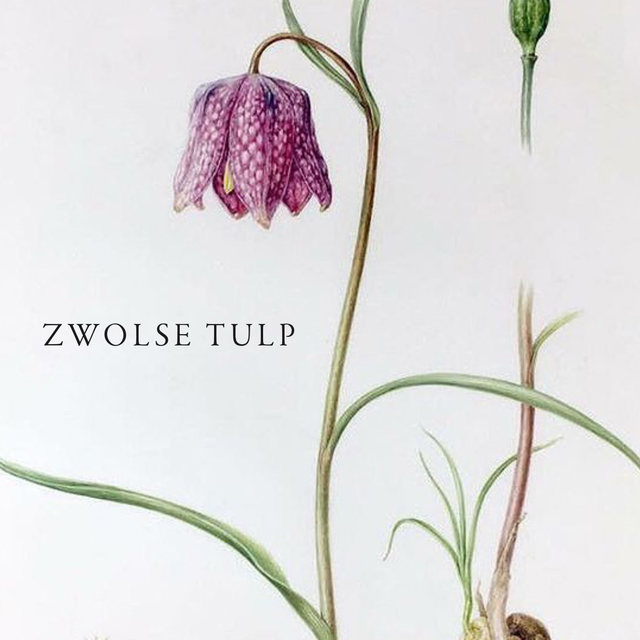 class="object-cover"